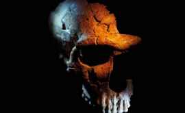Omul de Neanderthal nu era mai violent decît Homo sapiens