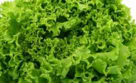 Salata verde a fost interzisă în farfuriile americanilor Află motivul