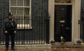 Gestul unui polițist care păzește reședința premierului britanic a devenit viral pe internet