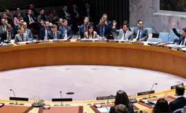 ONU a blocat propunerea Rusiei de a discuta incidentul din Kerci