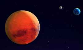 NASA a trimise primele imagini de sonda Insight de pe Marte FOTOVIDEO