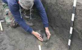 В Милештах археологи нашли расписанный кувшинчик датируемый IV веком