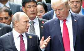 Trump şi Vladimir Putin sar putea întîlni la summitul G20