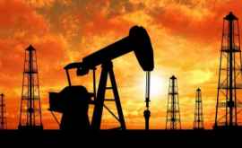 Qatar renunță la Organizaţia Statelor Exportatoare de Petrol