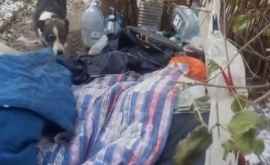 Жительница Кишинева лишилась жилья и ютится в палатке