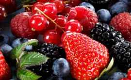 Насколько опасны аллергии вызванные лесными ягодами