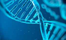 Что может изменить ДНК человека 