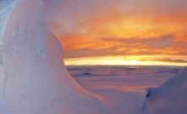 O descoperire incredibilă în Antarctica confirmată prin VIDEO