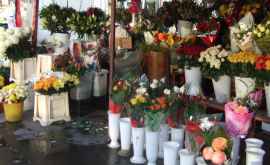 В столице могут закрыть один из цветочных рынков