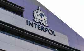 Interpol Un nou val de terorism este aproape