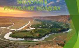 В Молдове будет создано подразделение по охране окружающей среды
