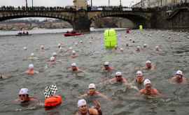 В Праге 400 человек нырнули в холодую реку