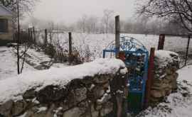 Север Молдовы накрыло снегом ФОТО