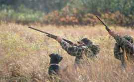 Трем жителям Кагульского района грозит наказание за незаконную охоту