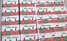 Молдова наращивает поставки яблок в Саудовскую Аравию