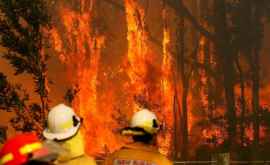 Юговосток Австралии накрыла аномальная жара вызвавшая пожары