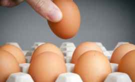 Peste 100000 de ouă contaminate ar fi ajuns în magazinele din România