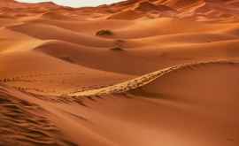 Clima din Sahara se transformă