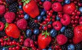 Молдова резко увеличила экспорт ягод