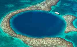 Descoperire înfricoșătoare pe fundul Marii Găuri Albastre din Belize