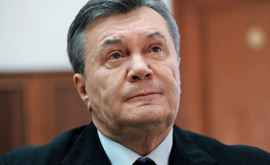 Янукович отреагировал на приговор о госизмене
