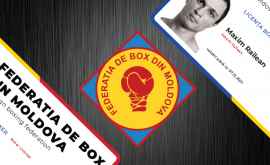 Doi sportivi moldoveni vor debuta în boxul profesionist pe 27 februarie