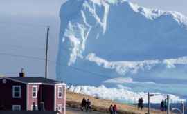 Воры похитили около 30 тысяч литров воды из айсберга