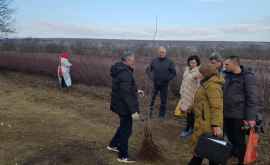 На многих молдавских плантациях проходят проверки с участием российских экспертов
