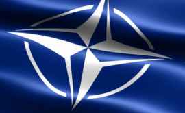 Политолог НАТО использует Молдову как точку напряжения в отношениях с Россией