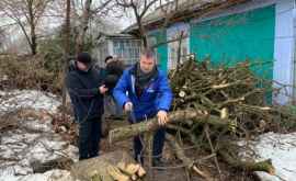 Un candidat al PD surprins cum taie lemne întro gospodărie din Glodeni