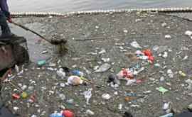 Греческий остров завален пластиковым мусором ВИДЕО