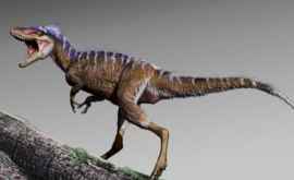 В США найдены останки минидинозавра