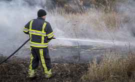 Pompierii în alertă Peste 50 de incendii de vegetaţie în 24 de ore