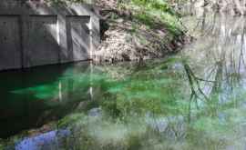 Река Бык вновь позеленела Что говорят эксперты ВИДЕО
