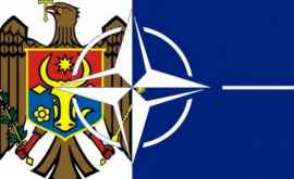Зачем НАТО нужны молдавские священники