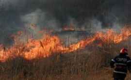Молдова в огне За сутки сгорело более 40 га растительности