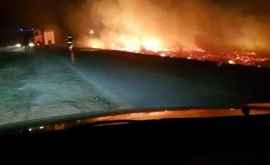 Un teren agricol a fost distrus de foc în apropiere de vama Sculeni