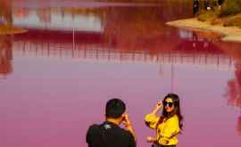 Еще одно чудо света Озеро в Австралии вновь стало розовым 