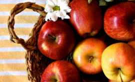 Moldova este principalul furnizor de mere în Rusia