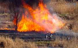 Flăcări mari distrug vegetaţia uscată din Moldova