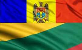 Lituania va împărtăși cu Moldova experiența în combaterea corupției