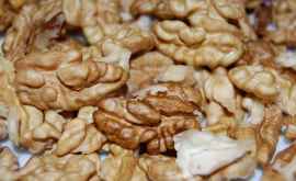 90 молдавских органических орехов выкупают страны ЕС