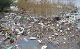 Озеро Гидигич утопает в мусоре ВИДЕО
