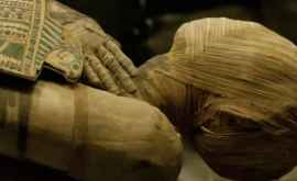 Dinții unei femei din Egiptul antic iau trădat profesia