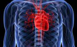 Ученые усовершенствовали исследование сердца