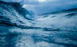 В Мировом океане выросла скорость ветра и высота волн