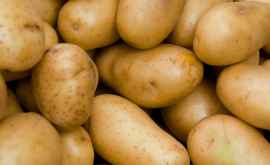 Картофель в три раза дороже чем год назад