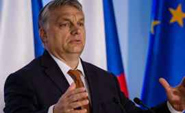 США Венгрия должна действовать более ответственно в отношениях с Украиной 