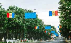 O alee din Republica Moldova printre cele mai impresionante din Europa
