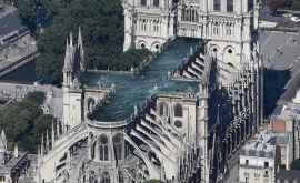 Catedrala Notre Dame ar putea avea și piscină pe acoperiș